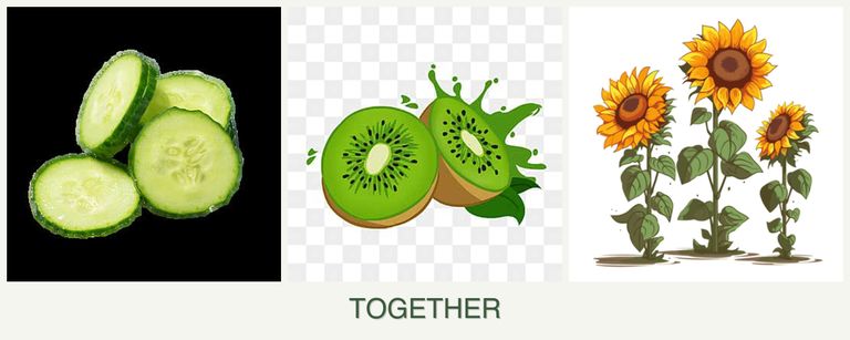 Can you plant cucumbers, kiwi and sunflowers together?