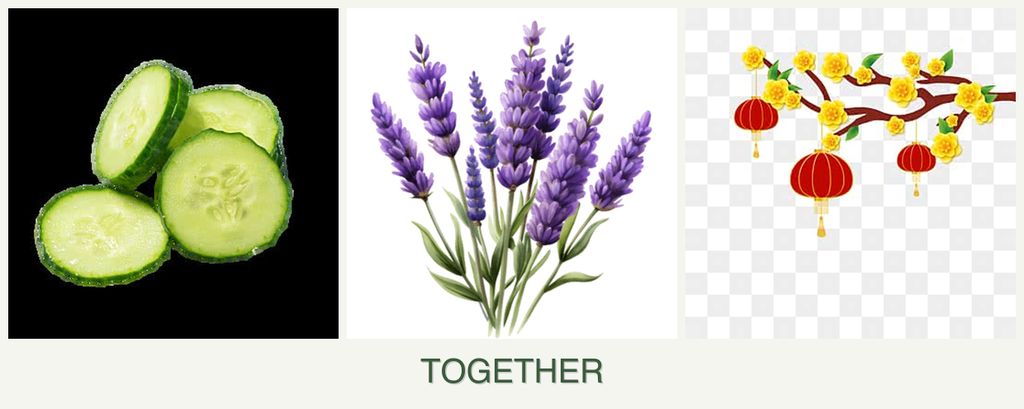 Can you plant cucumbers, lavender and apricots together?