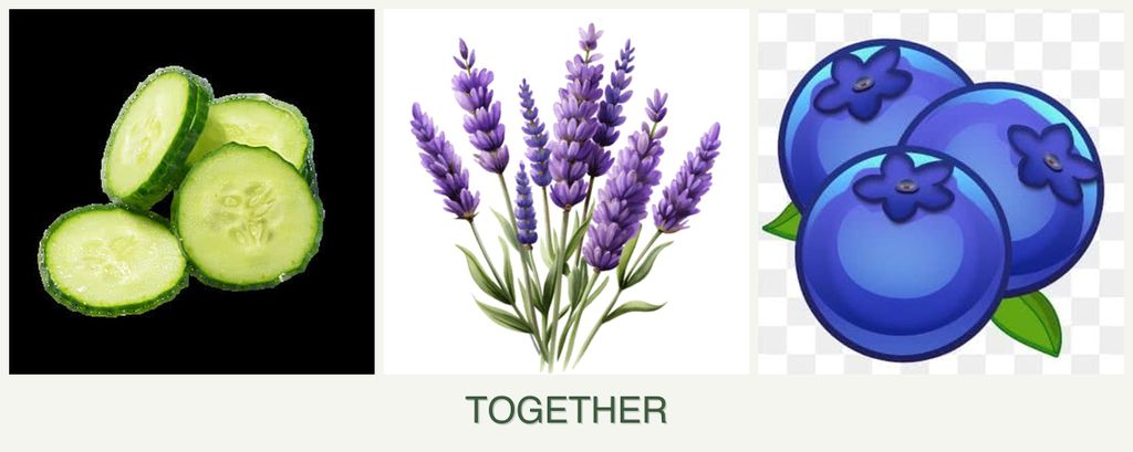 Can you plant cucumbers, lavender and blueberries together?