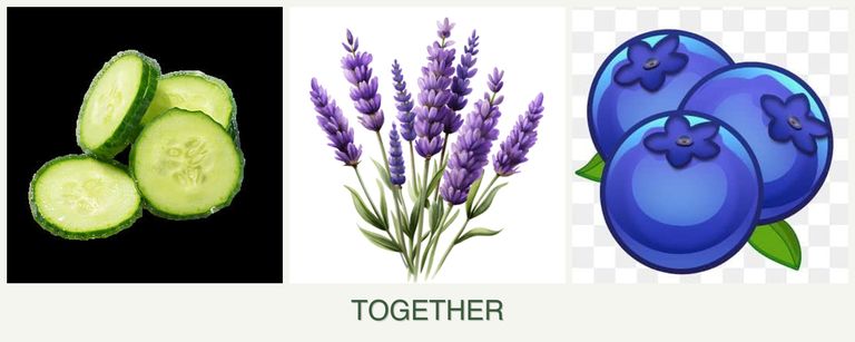 Can you plant cucumbers, lavender and blueberries together?