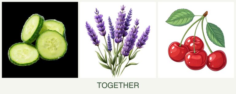 Can you plant cucumbers, lavender and cherries together?