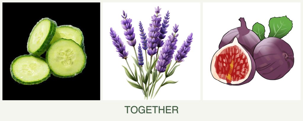 Can you plant cucumbers, lavender and figs together?