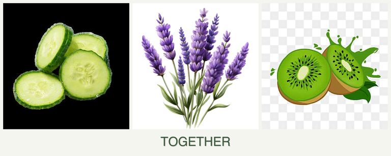Can you plant cucumbers, lavender and kiwi together?