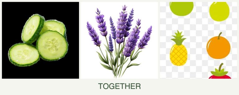 Can you plant cucumbers, lavender and pears together?