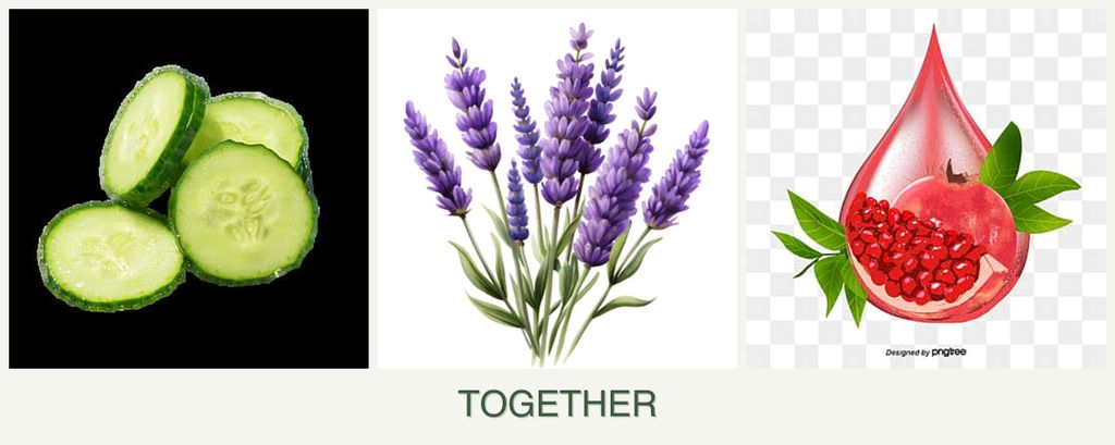 Can you plant cucumbers, lavender and pomegranates together?