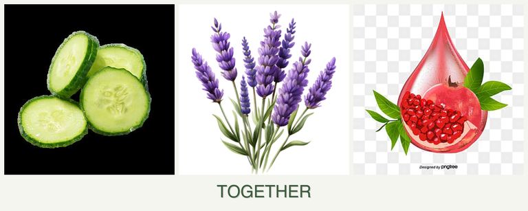 Can you plant cucumbers, lavender and pomegranates together?