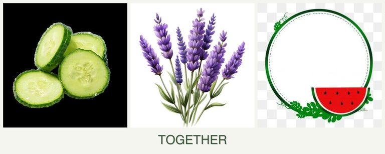 Can you plant cucumbers, lavender and watermelons together?