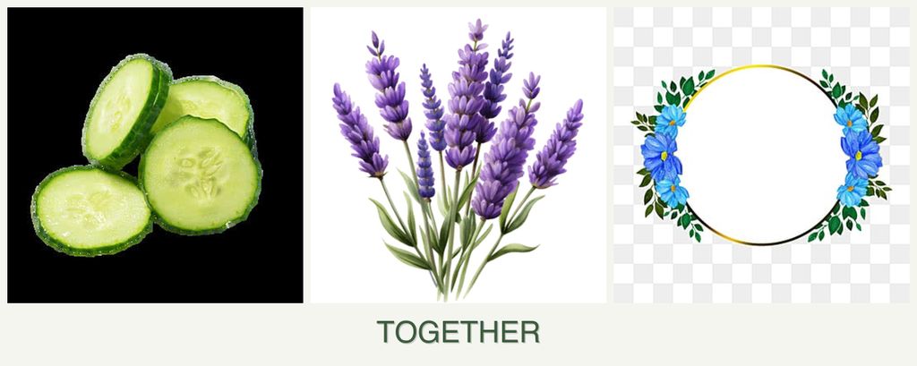 Can you plant cucumbers, lavender and zinnias together?
