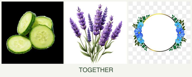 Can you plant cucumbers, lavender and zinnias together?