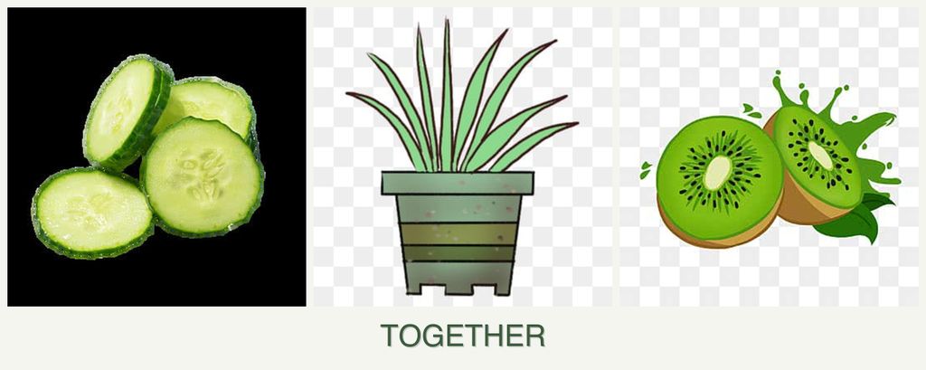 Can you plant cucumbers, lemongrass and kiwi together?
