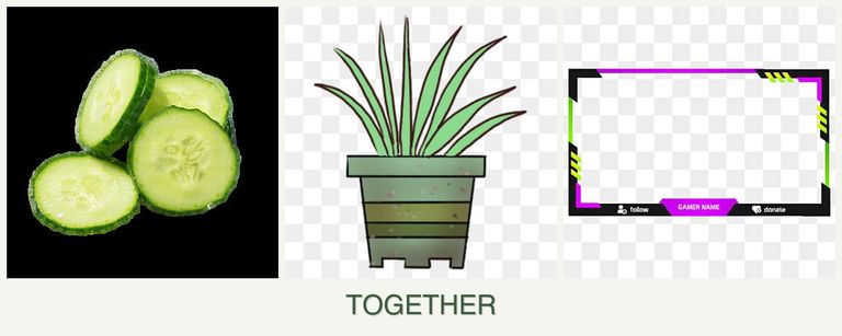 Can you plant cucumbers, lemongrass and limes together?