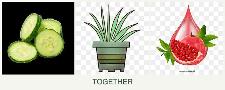 Can you plant cucumbers, lemongrass and pomegranates together?