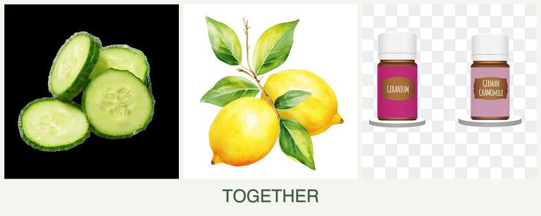 Can you plant cucumbers, lemons and geraniums together?