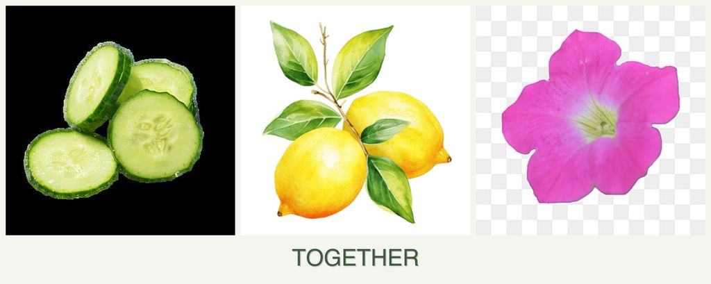 Can you plant cucumbers, lemons and petunias together?