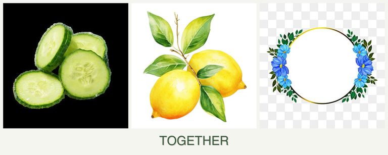 Can you plant cucumbers, lemons and zinnias together?