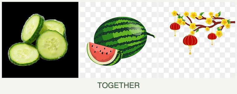 Can you plant cucumbers, melons and apricots together?