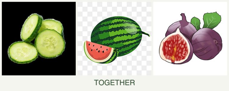 Can you plant cucumbers, melons and figs together?