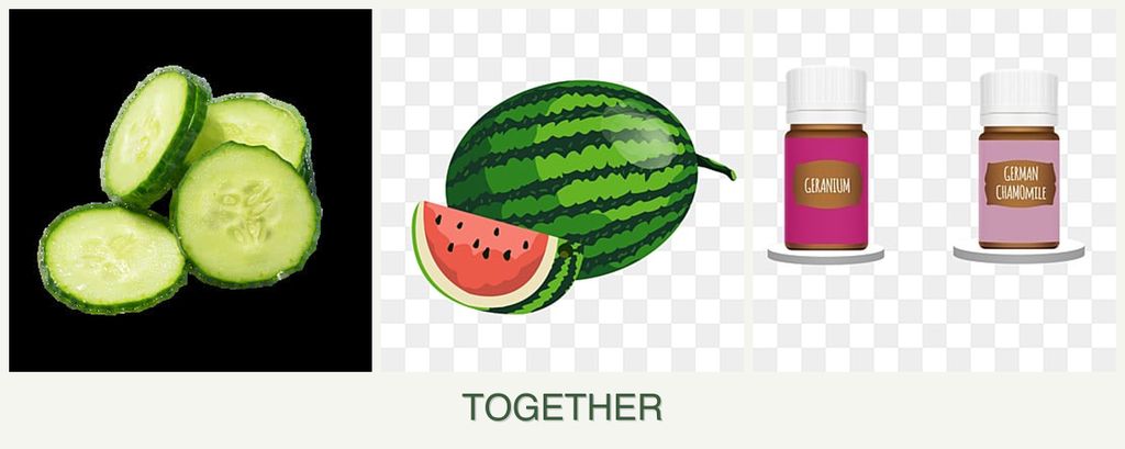 Can you plant cucumbers, melons and geraniums together?