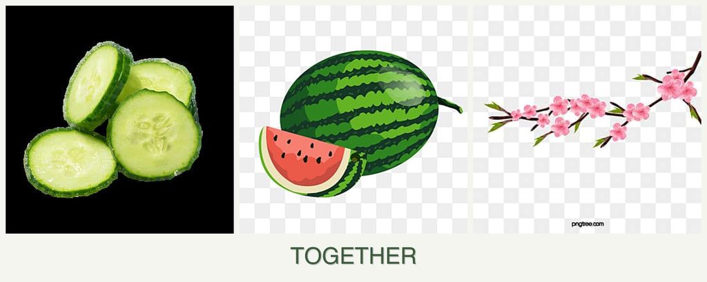 Can you plant cucumbers, melons and peaches together?