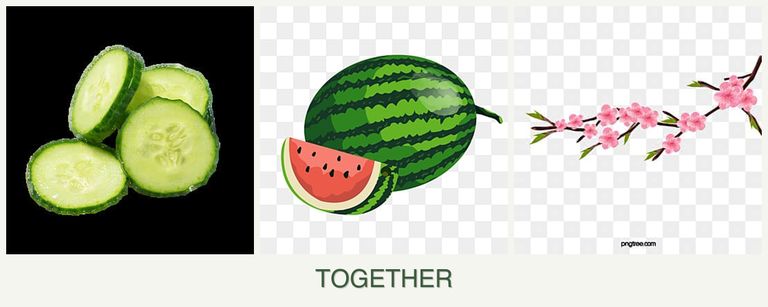 Can you plant cucumbers, melons and peaches together?