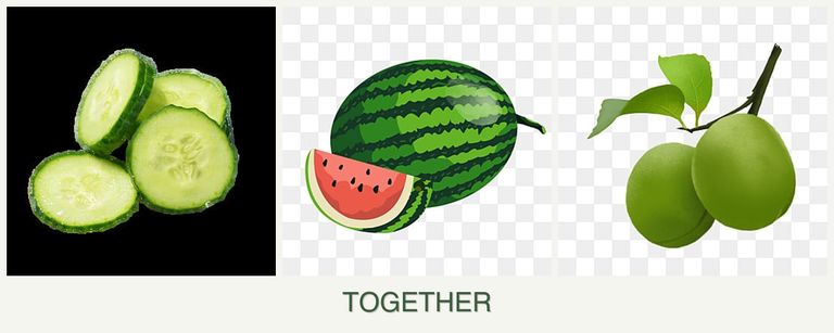 Can you plant cucumbers, melons and plums together?