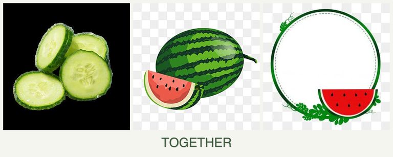 Can you plant cucumbers, melons and watermelons together?