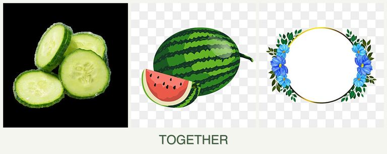 Can you plant cucumbers, melons and zinnias together?