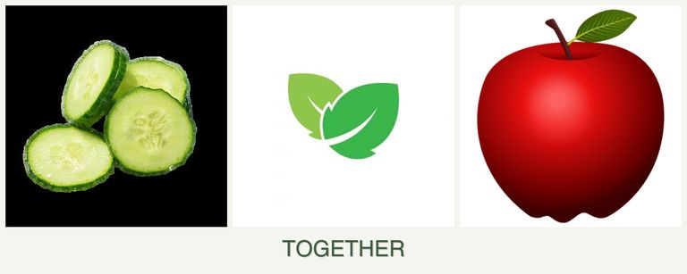 Can you plant cucumbers, mint and apples together?