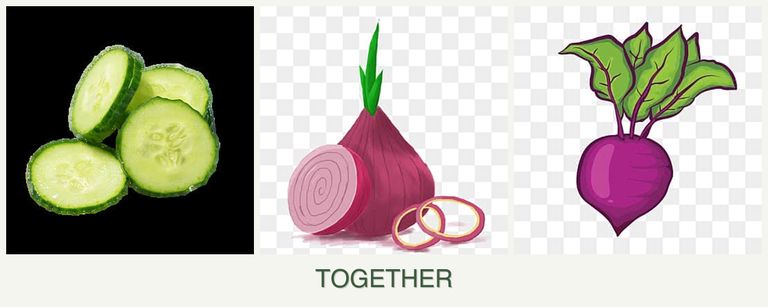 Can you plant cucumbers, onions and beets together?