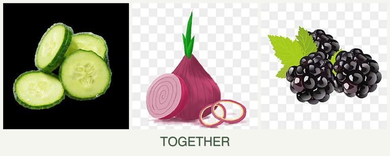 Can you plant cucumbers, onions and blackberries together?