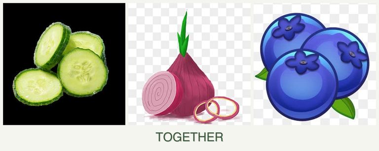 Can you plant cucumbers, onions and blueberries together?