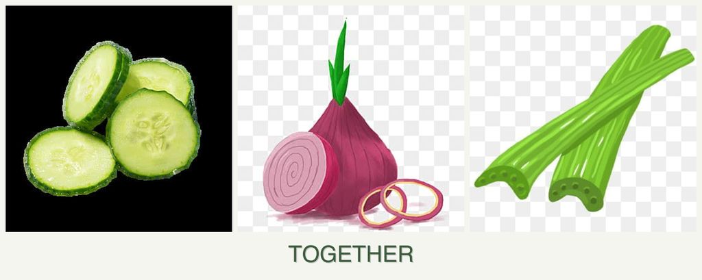 Can you plant cucumbers, onions and celery together?