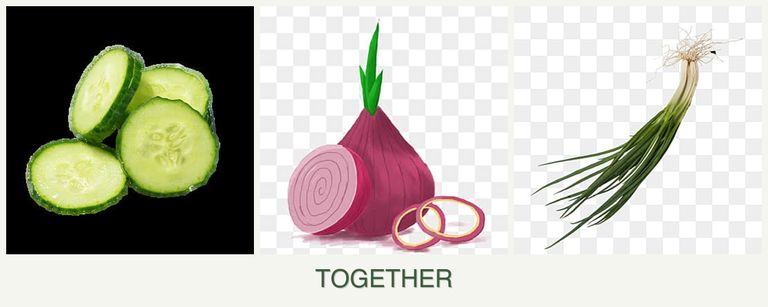 Can you plant cucumbers, onions and chives together?