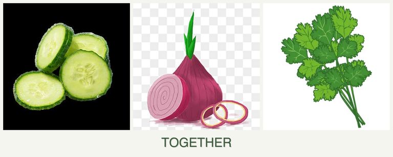 Can you plant cucumbers, onions and cilantro together?