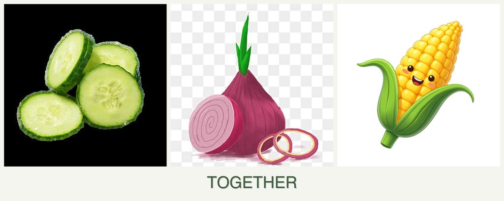 Can you plant cucumbers, onions and corn together?