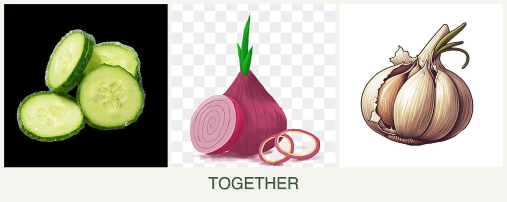 Can you plant cucumbers, onions and garlic together?