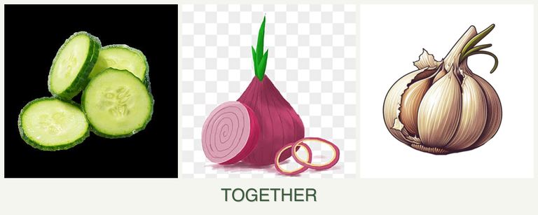 Can you plant cucumbers, onions and garlic together?