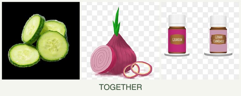 Can you plant cucumbers, onions and geraniums together?