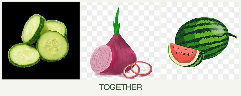Can you plant cucumbers, onions and melons together?