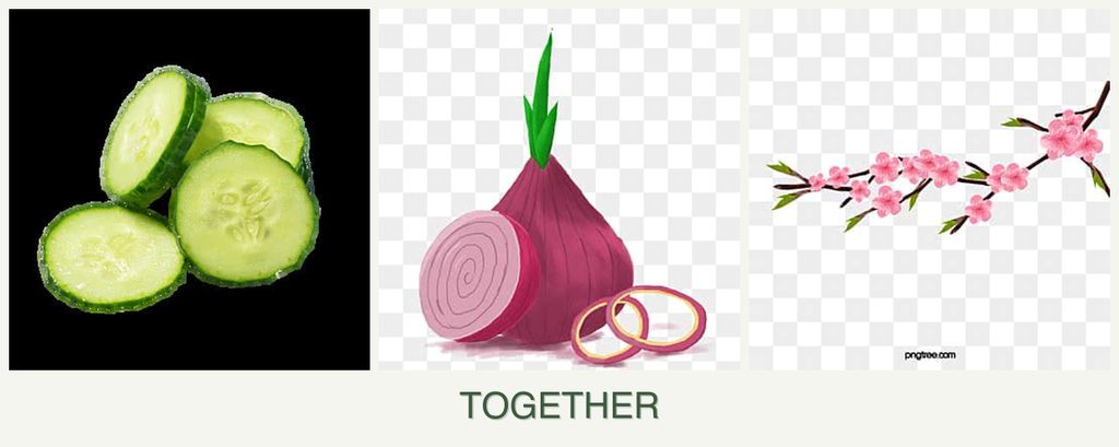 Can you plant cucumbers, onions and peaches together?
