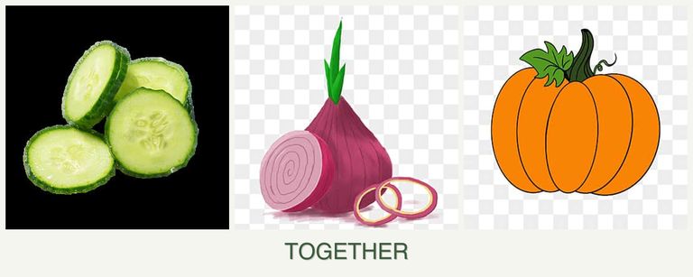 Can you plant cucumbers, onions and pumpkin together?