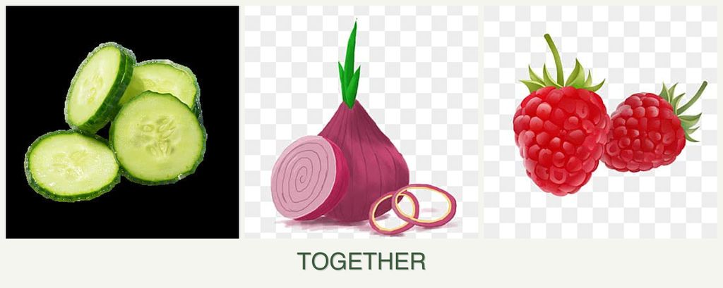 Can you plant cucumbers, onions and raspberries together?