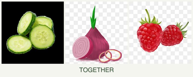 Can you plant cucumbers, onions and raspberries together?
