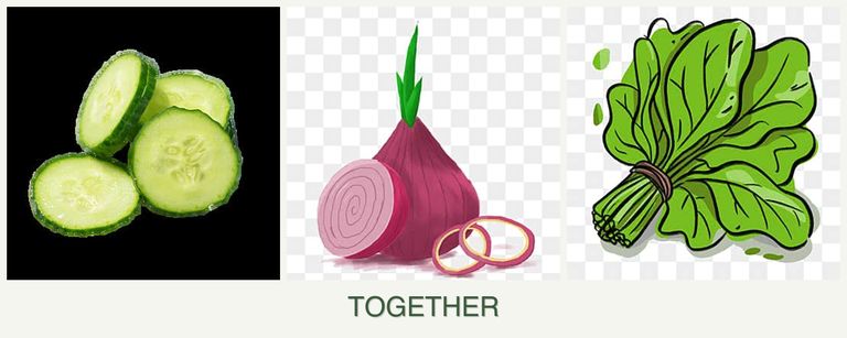 Can you plant cucumbers, onions and spinach together?