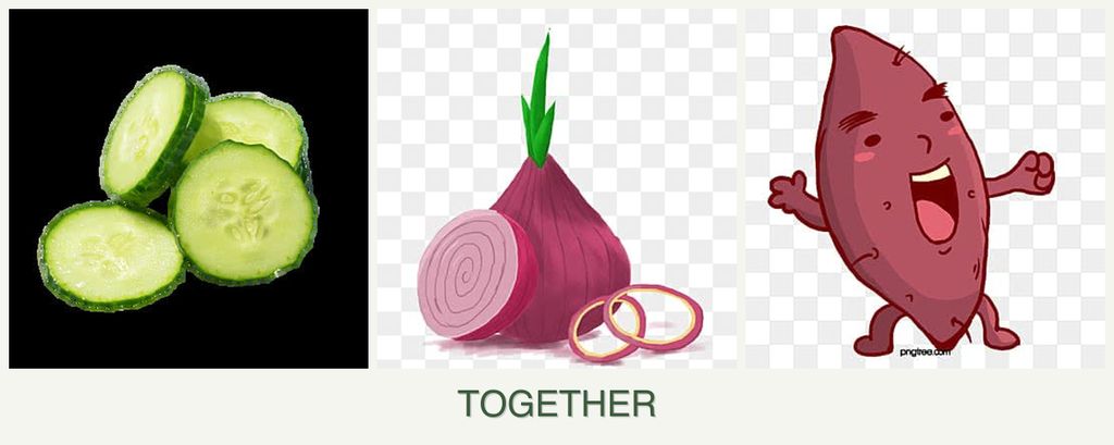 Can you plant cucumbers, onions and sweet potatoes together?