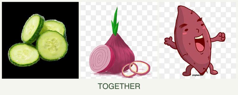 Can you plant cucumbers, onions and sweet potatoes together?
