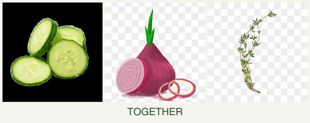Can you plant cucumbers, onions and thyme together?