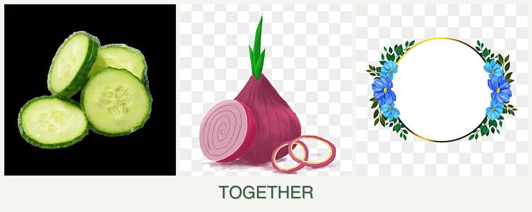Can you plant cucumbers, onions and zinnias together?