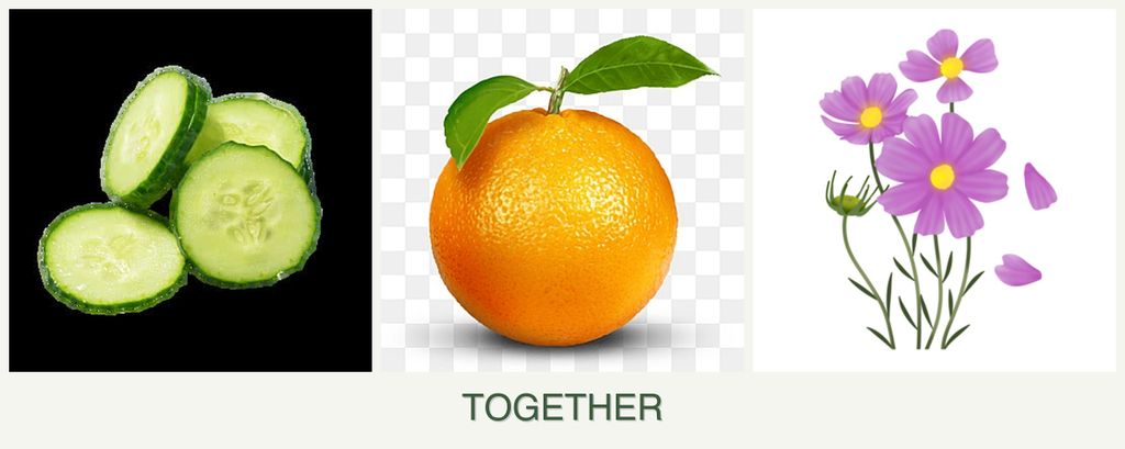 Can you plant cucumbers, oranges and cosmos together?