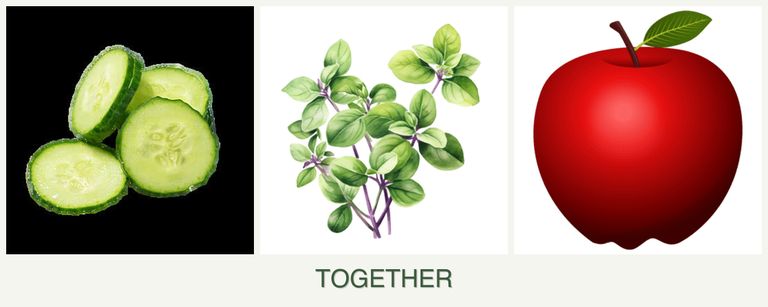 Can you plant cucumbers, oregano and apples together?